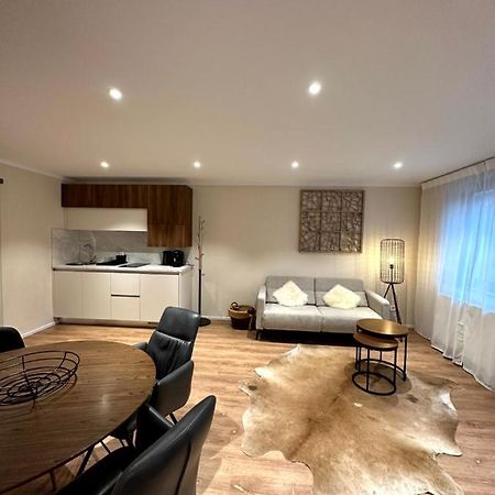 Stadtvilla Apartments Ferienwohnungen Weinsberg Eksteriør billede